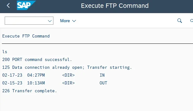 SAP FTP connection