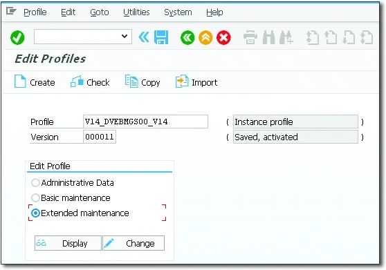Starting the Extended Maintenance of a Profile