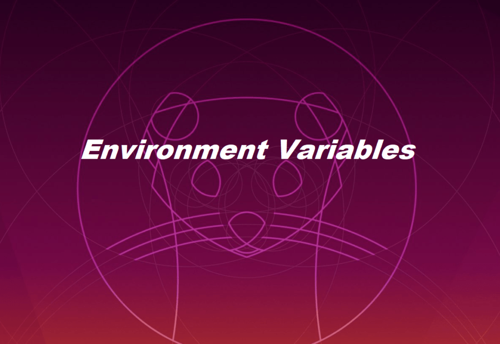 Environment Variables