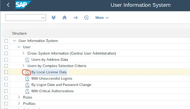 How to Export the User List with License Details from SAP S 4hana