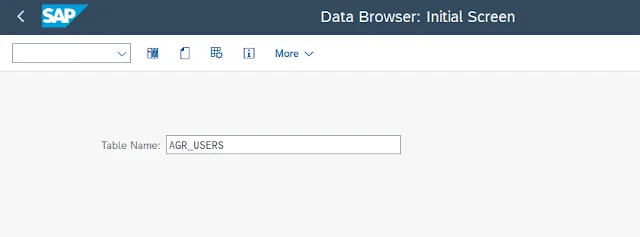 SE16 Data Browser Initial Screen
