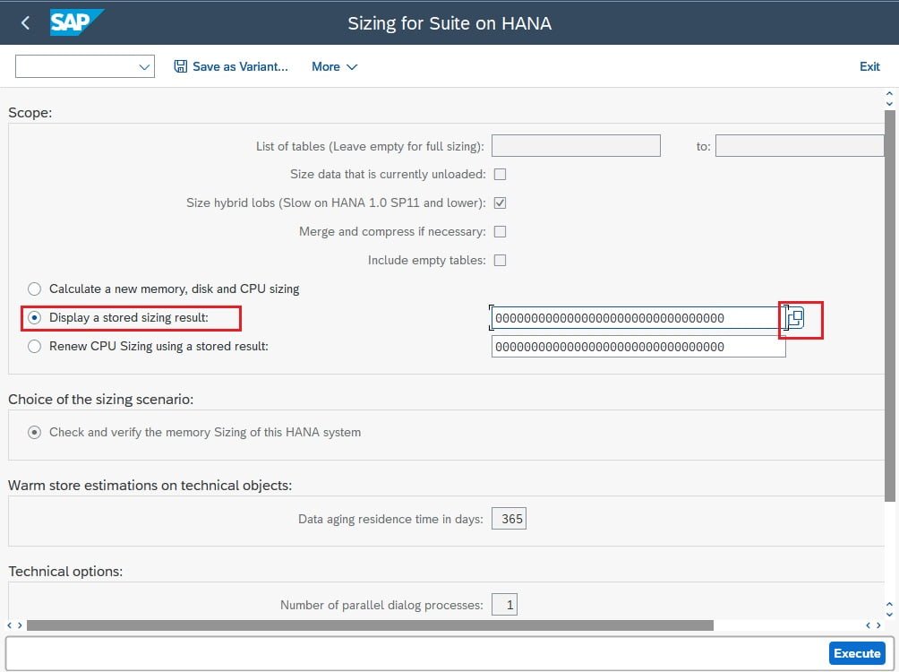 Hana Sizing