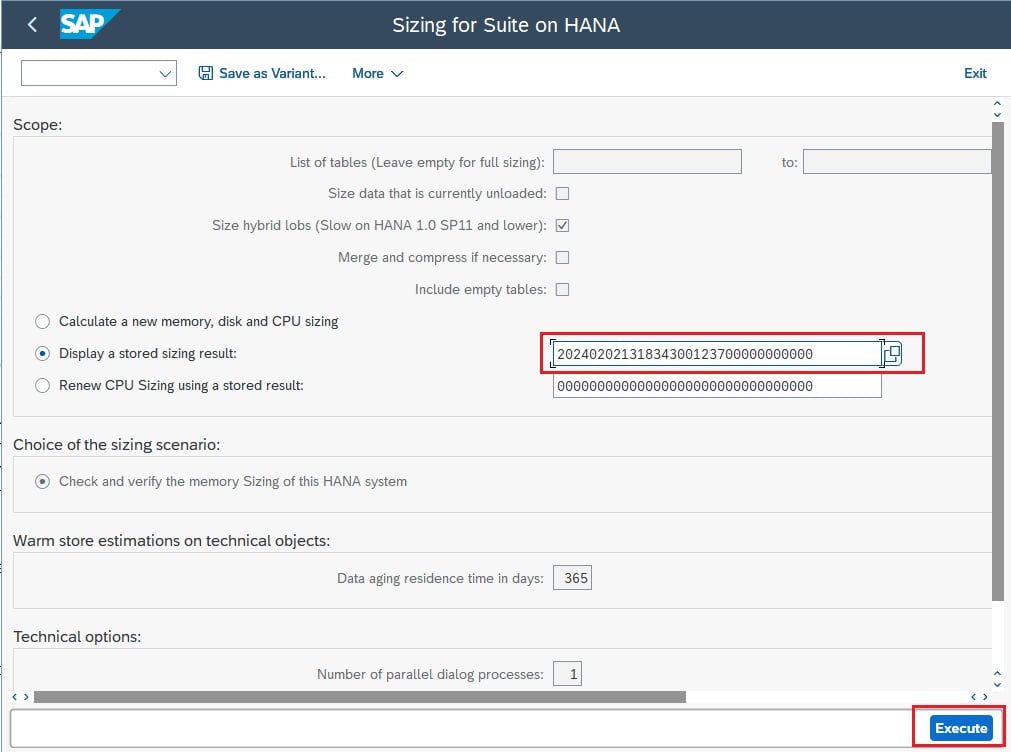 Hana Sizing