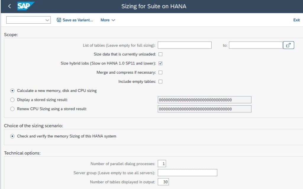 Hana Sizing