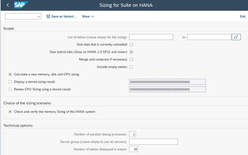 Hana Sizing